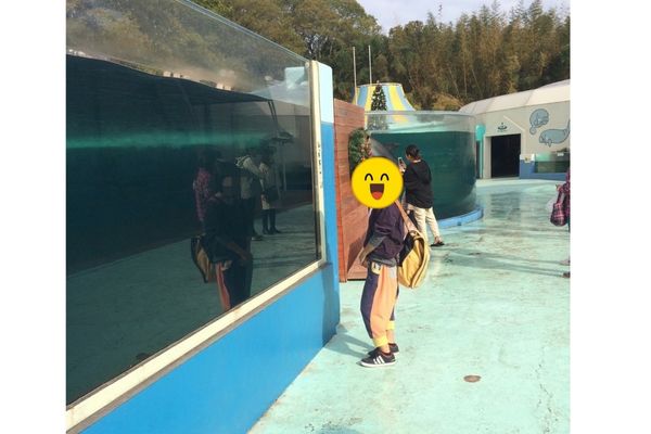 新屋島水族館のイルカの水槽
