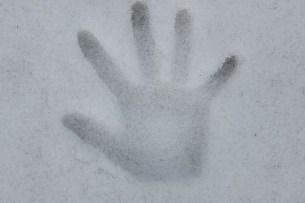 雪につけた手形