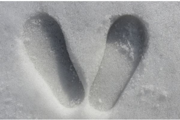 雪につけた足跡