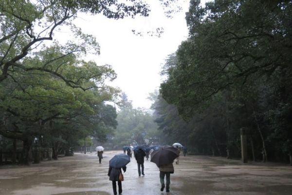 大山祇神社